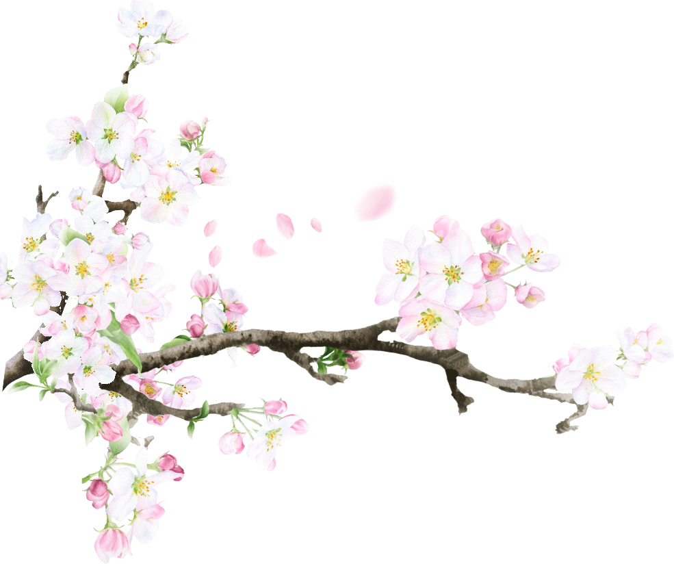 桜イラスト1