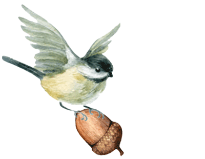 紅葉イラスト1
