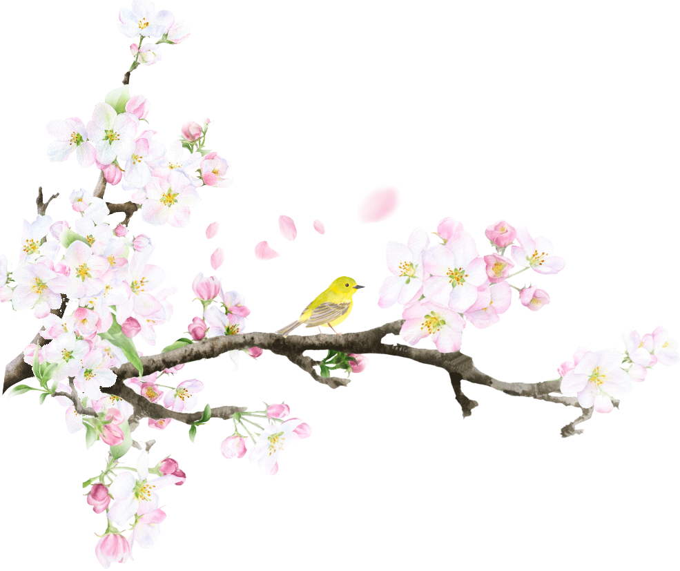 桜イラスト1