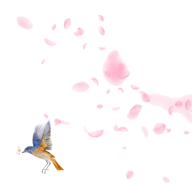 桜イラスト